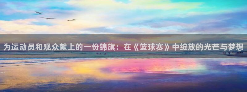 为运动员和观众献上的一份锦旗：在《篮