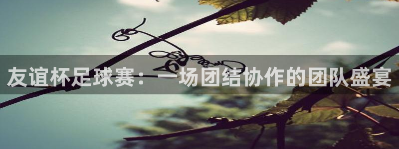 emc易倍下载客服：友谊杯足球赛：一