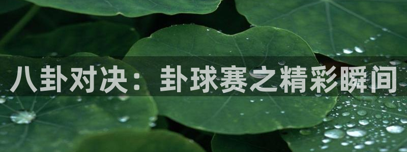 emc易倍·体育贴吧：八卦对决：卦球