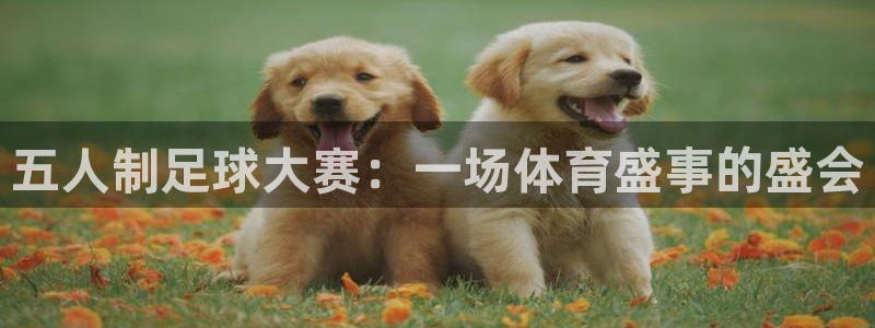 emc全站易倍：五人制足球大赛：一场体育盛事的盛会