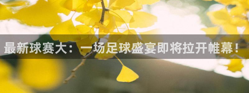 emc易倍下载：最新球赛大：一场足球盛宴即将拉开帷幕！