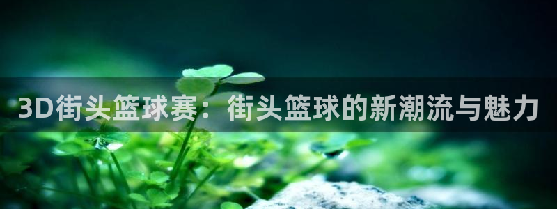 易倍emc全站：3D街头篮球赛：街头篮球的新潮流与魅力