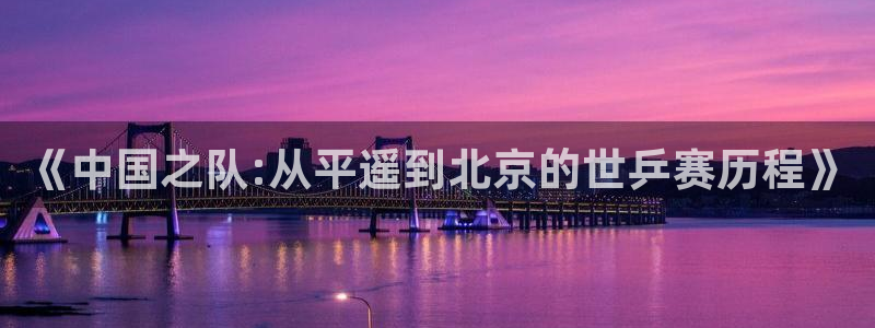 emc易倍全站官网：《中国之队:从平遥到北京的世乒赛历程》