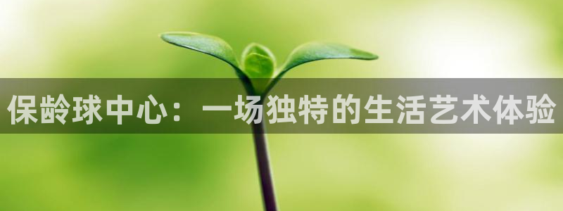 emc易倍官网app：保龄球中心：一场独特的生活艺术体验